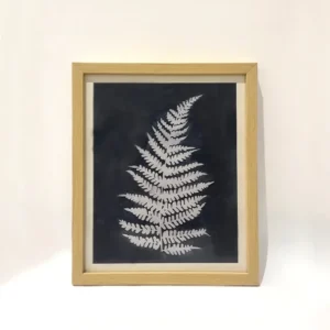 Fern Imprint