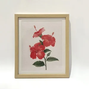 Scarlet Hibiscus
